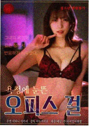 女仆与猫与魔法书店封面